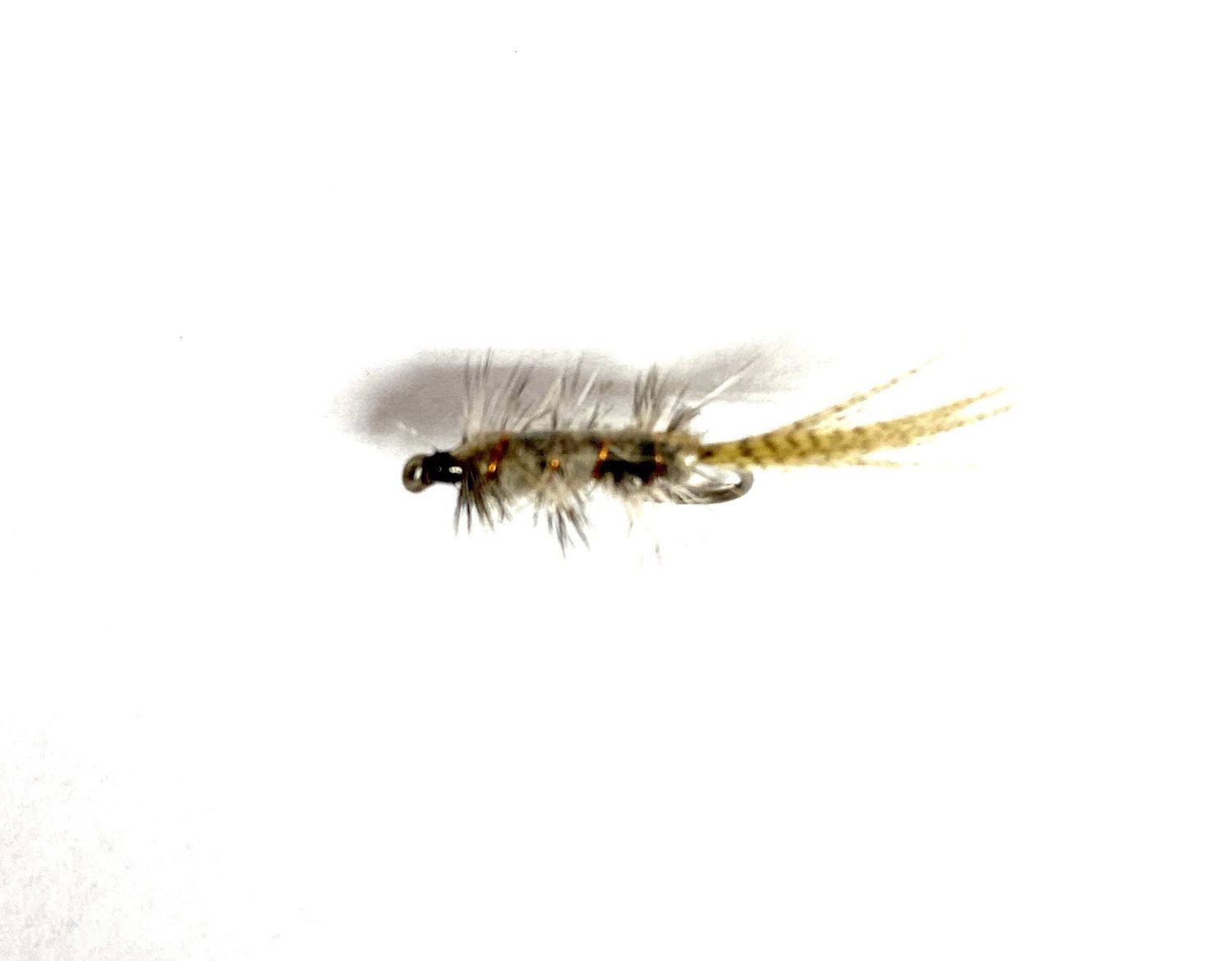 Rickards Callibaetis Nymph, Size: 12