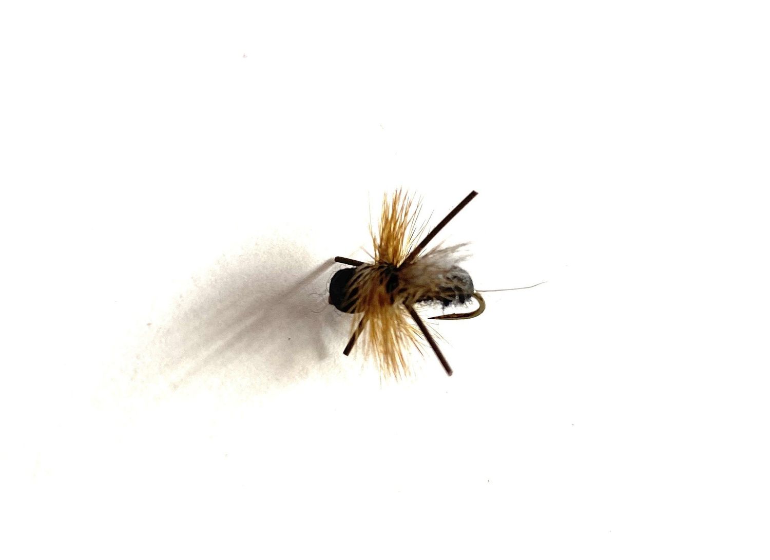CFO Ant, Color: Black, Size: 14