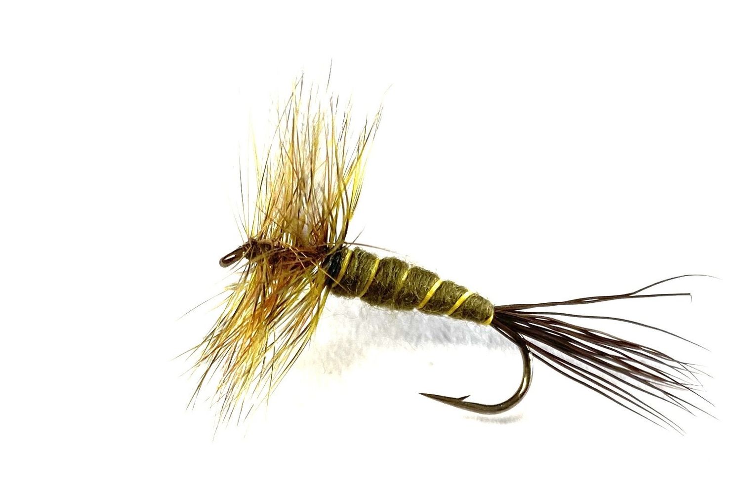 Green Drake, Size: 10