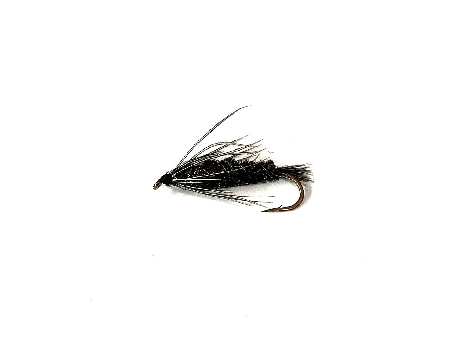 Carey Special, Size: 6