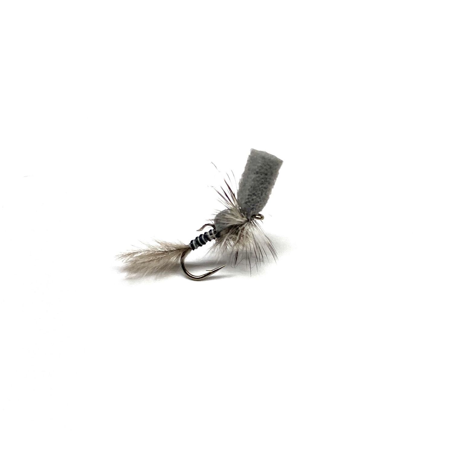 Periscope Callabaetis, Size: 14