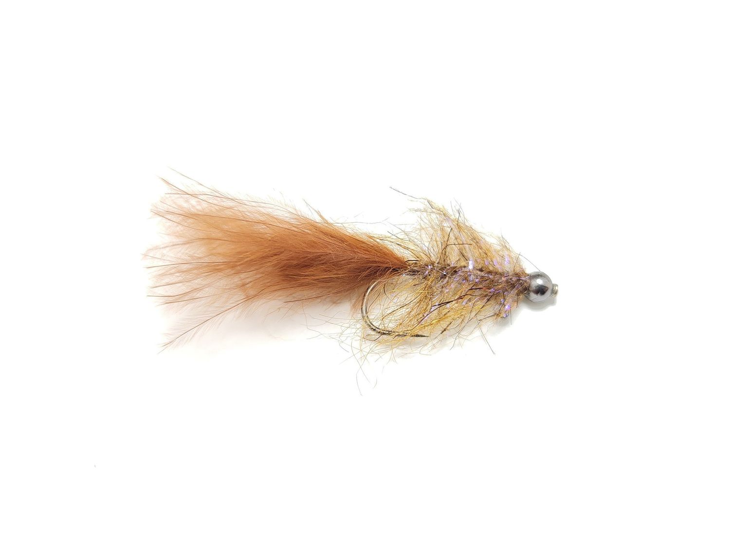 Pyramid Beach Leech, Color: Brown, Size: 8