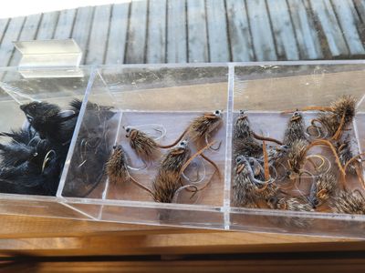 Mice