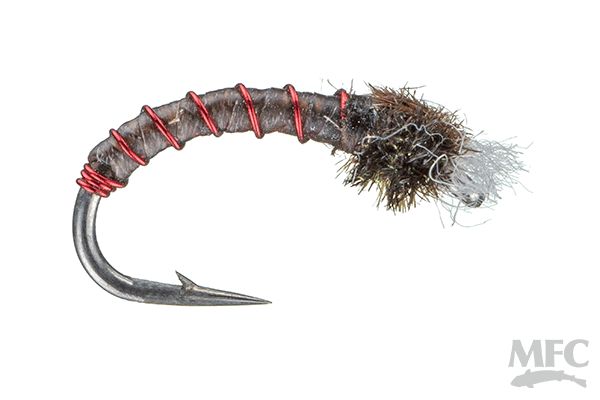 Chan's Red Butt Chirono