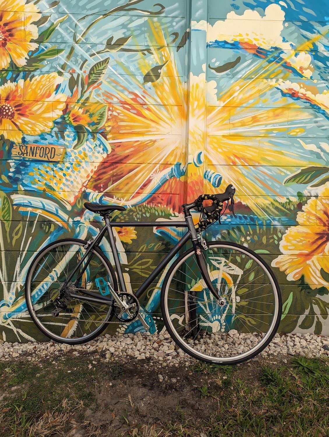 Nashbar Road Bike Custom (Used)