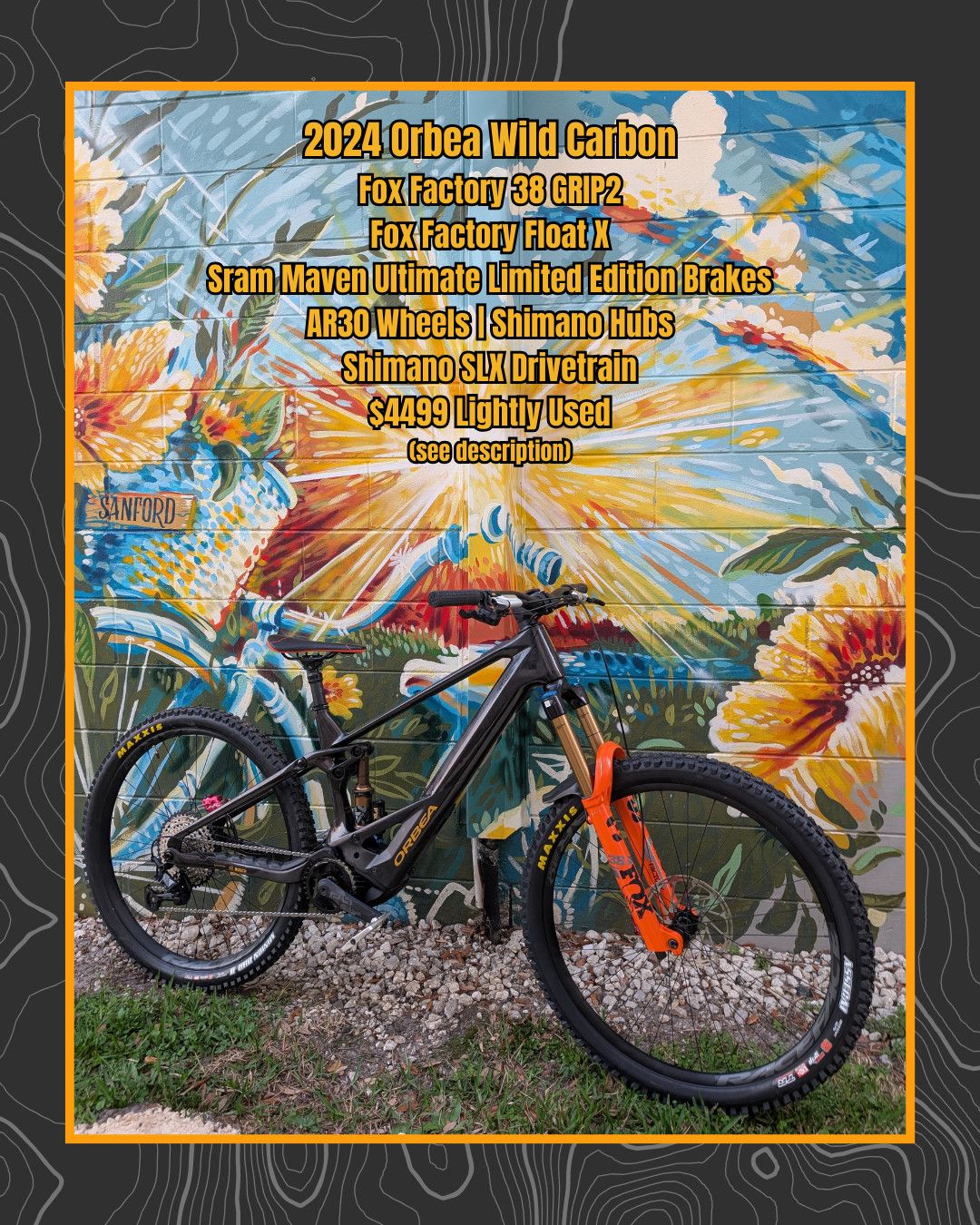 2024 Orbea Wild Carbon (Large)