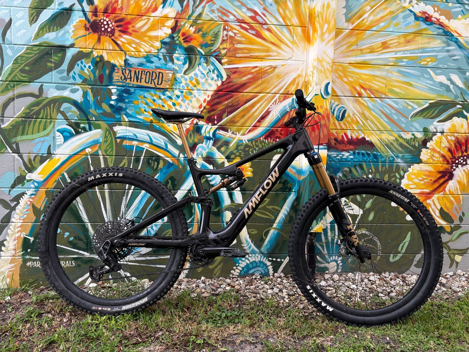 Amflow PL Carbon Pro (800Wh)