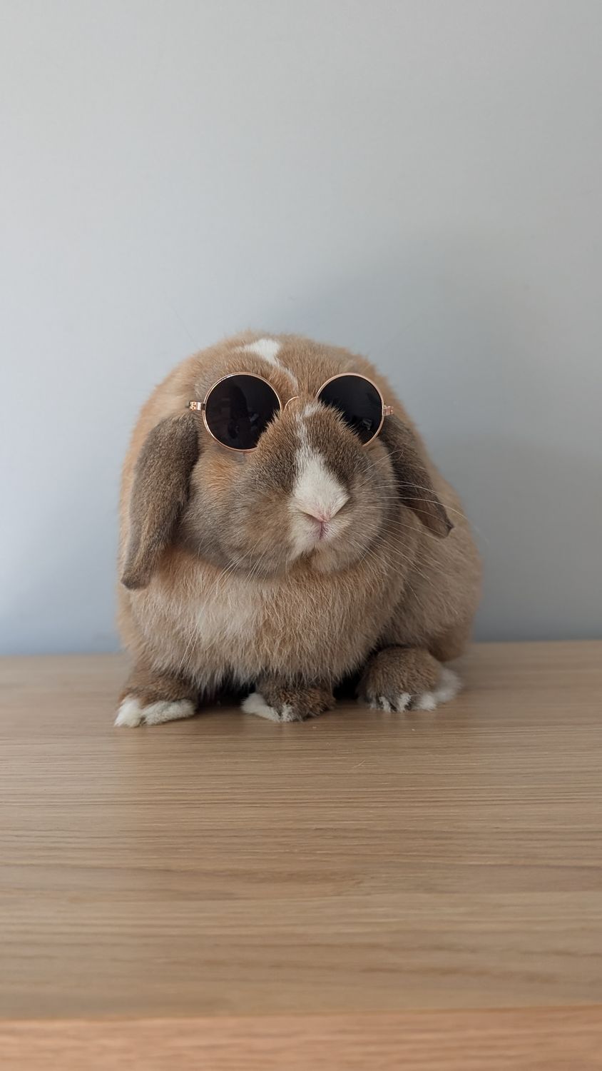 bun glasses.