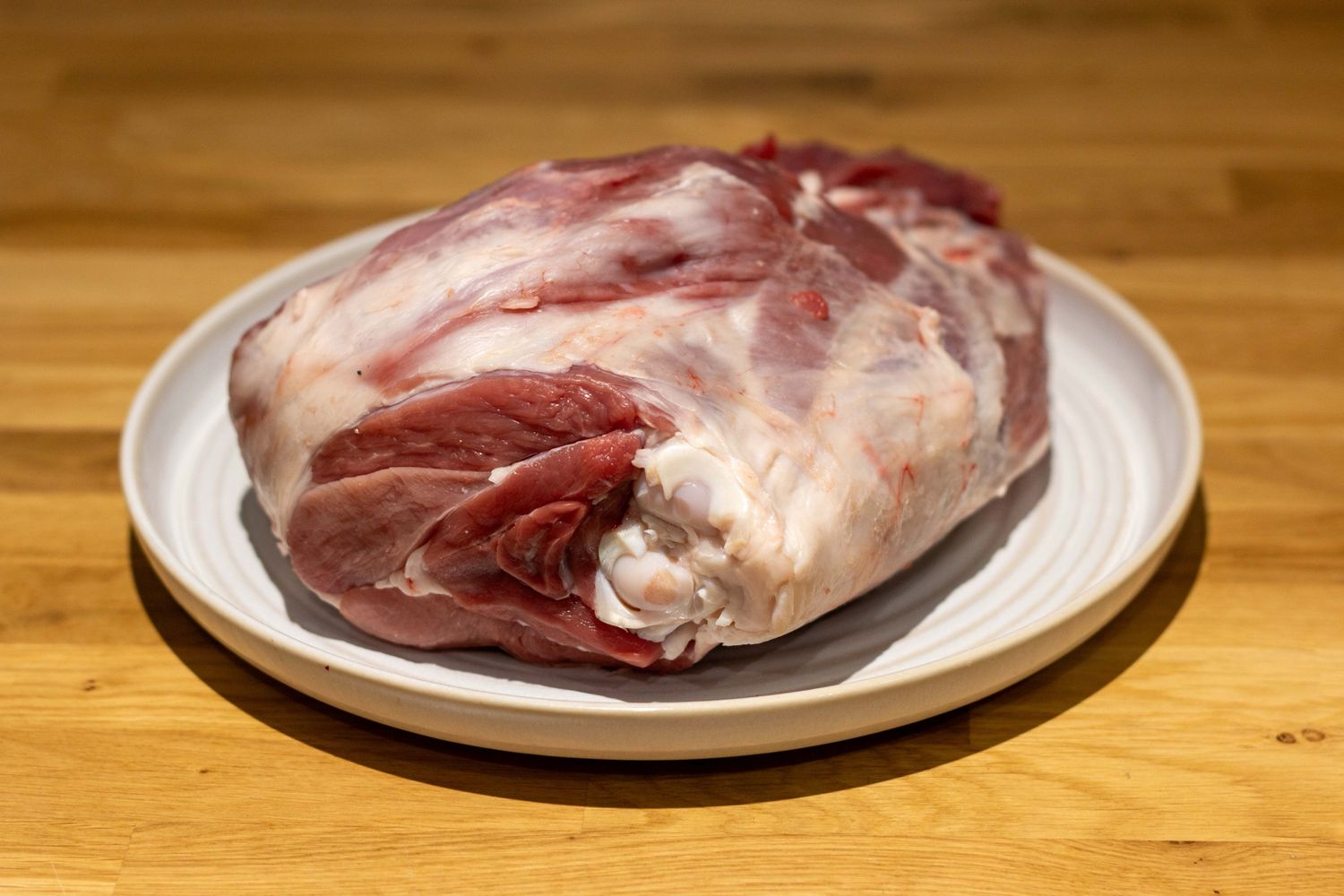 Zuiglam bout zonder been