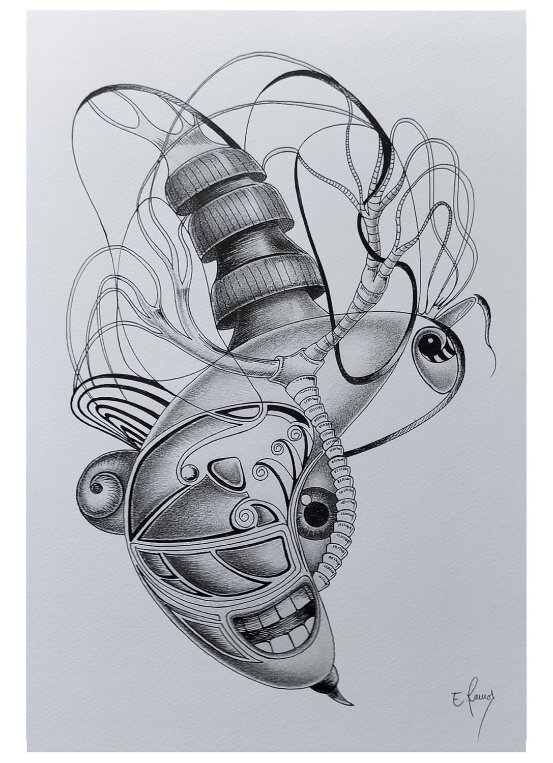 Bacterio
