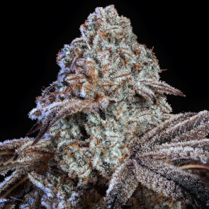 Psyop 3.5g