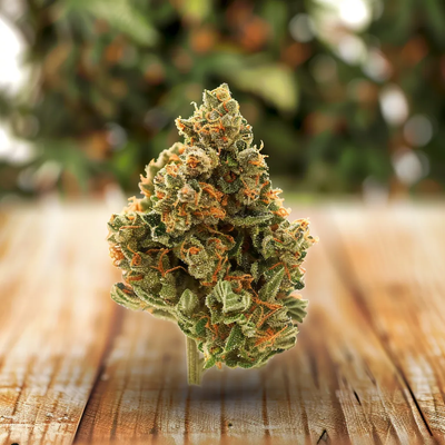 Meat Breath 3.5g