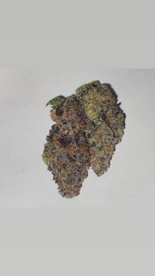 Gelato Runtz 3.5g