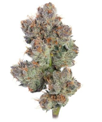 Galactic Warheads 3.5g