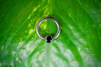 Black CZ Seam