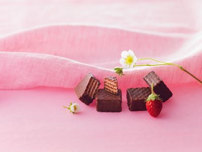 CHOCOLATE WAFERS