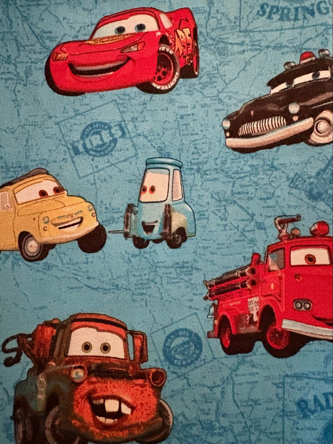 Pebbles barkday - cars
