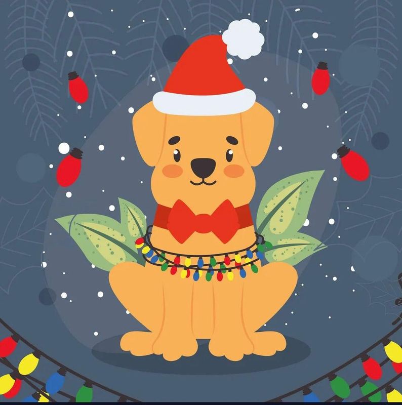 HOWLY NIGHT COLLECTION