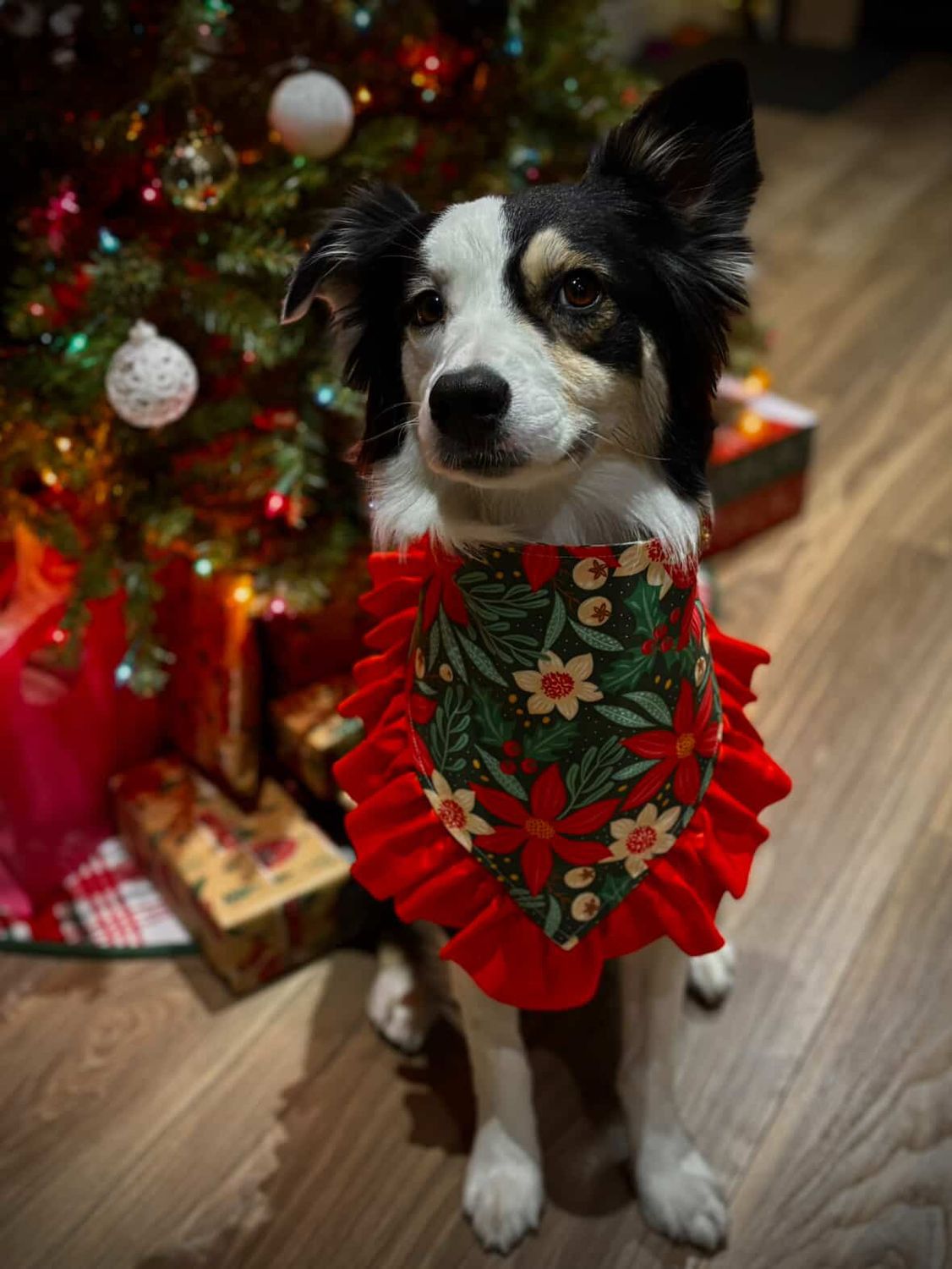 Korra’s Birthday Bandana Custom Order