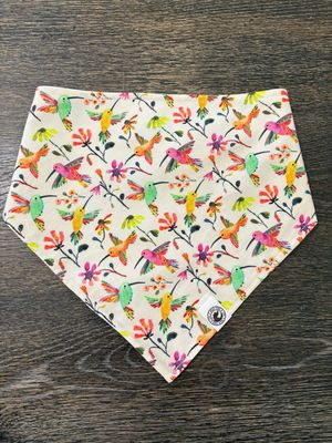 Watercolor Hummingbirds