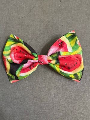 Watermelon Splash Bow