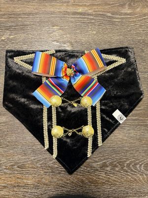 The Mariachi Loco