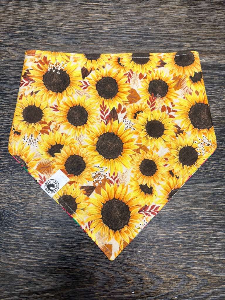 Sunflower Meadow