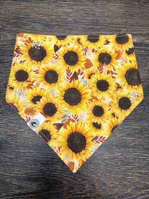 Sunflower Meadow