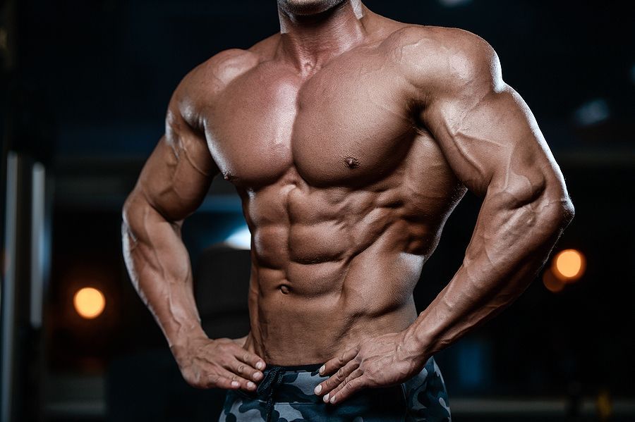 Programme Musculation + Plan Alimentaire personnalisé