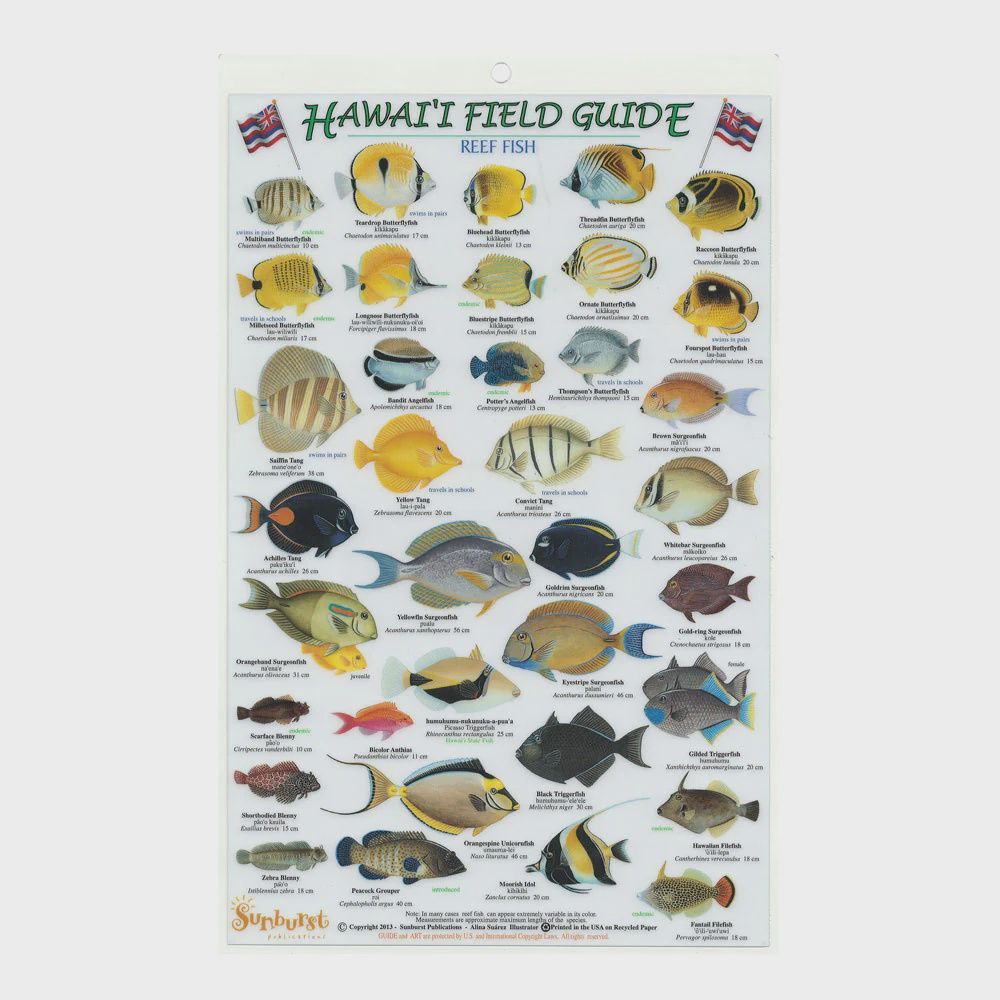Fish ID Card 1965-00