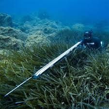 PATHOS LASER EVO CARBON SPEARGUN 110cm