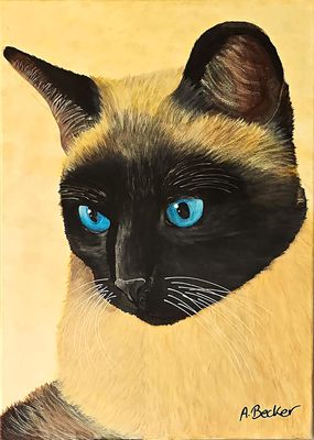 "Siam Katze"