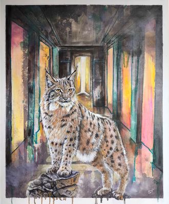 "Lost Places- Luchs "