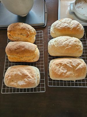 Bread