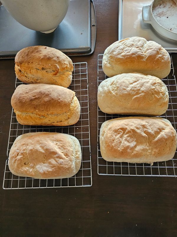 Crusty Italian Bread