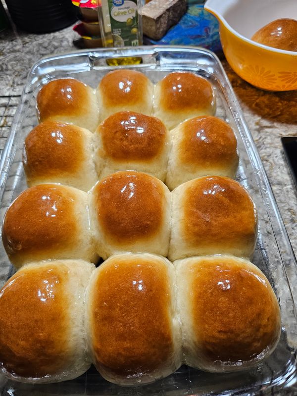 Dinner Rolls