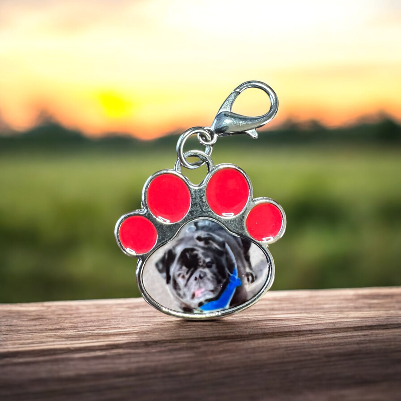 Photo Key Paw