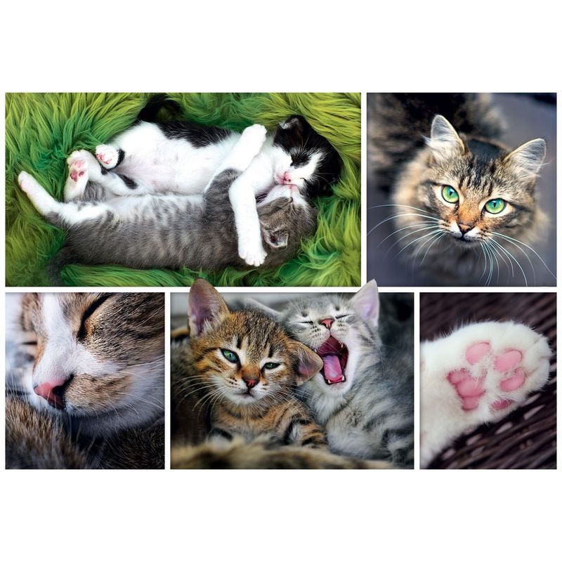 1500pc Montage Cats