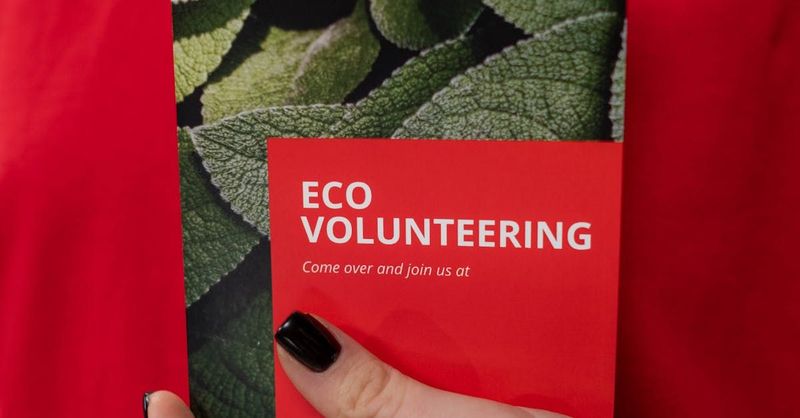 Brochures and Programs