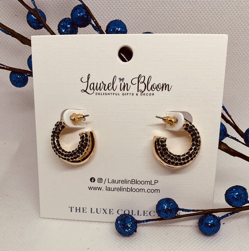 DOUBLE HOOP CRYSTAL CLASSICS EARRINGS
