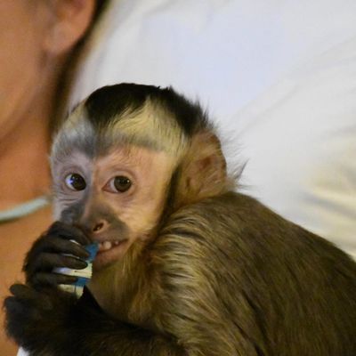 ​Meet Jack – Your New Best Friend!