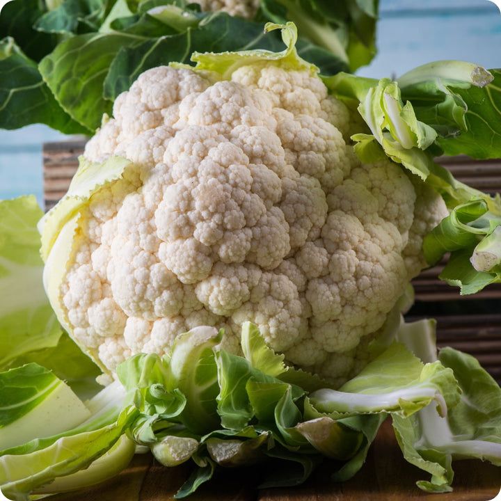 Cauliflower - Snowball Y