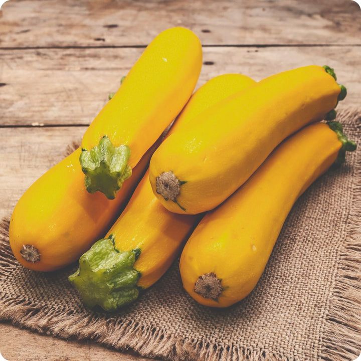 Zucchini - Saffron Yellow