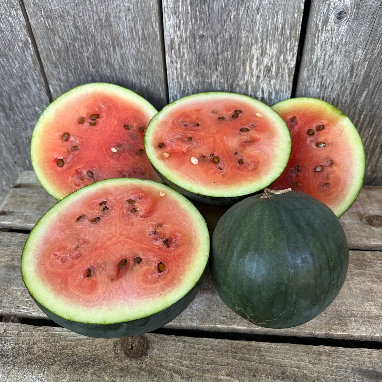Watermelon - Blacktail Mountain