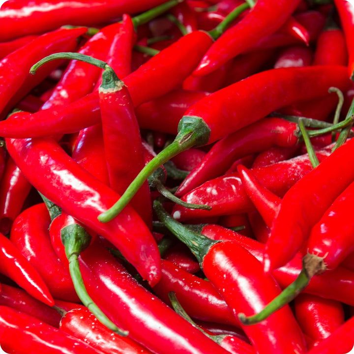 Pepper - Long Red Cayenne