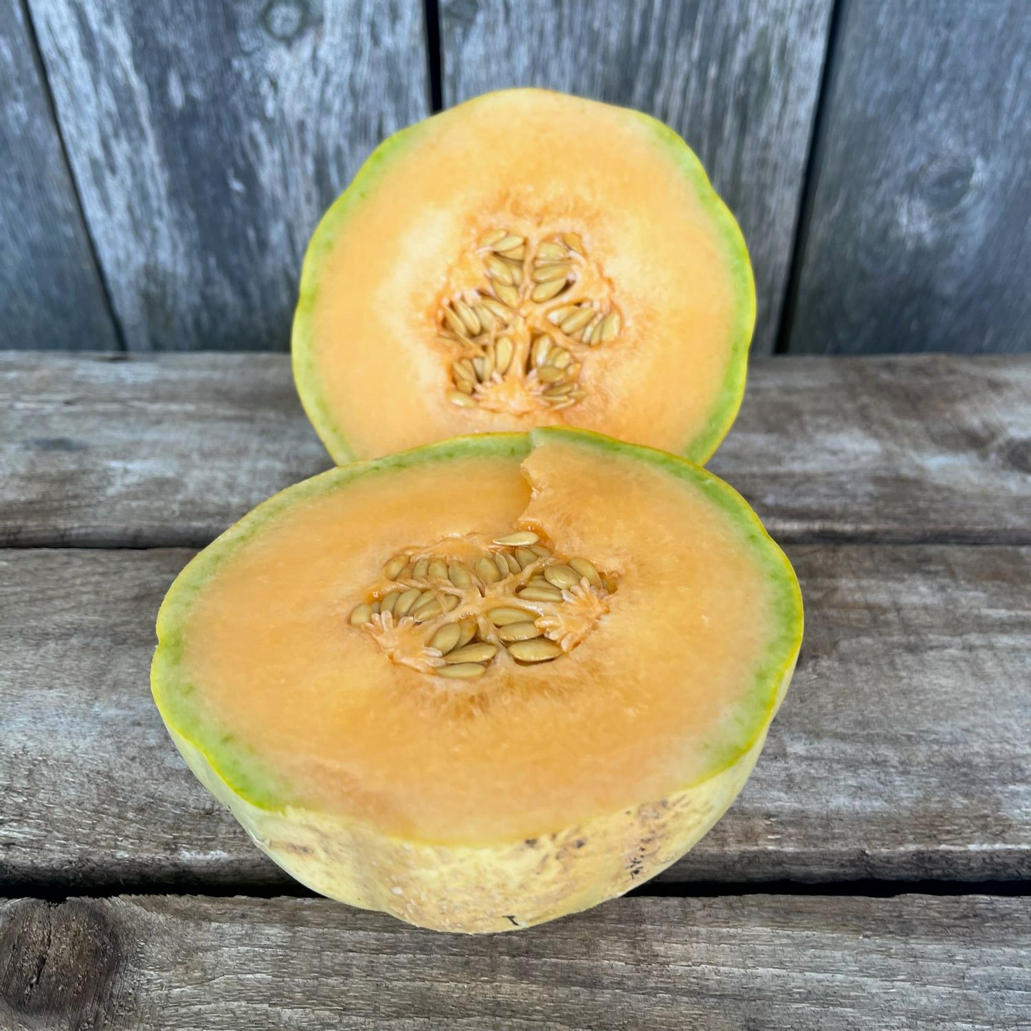 Cantaloupe - Charentais