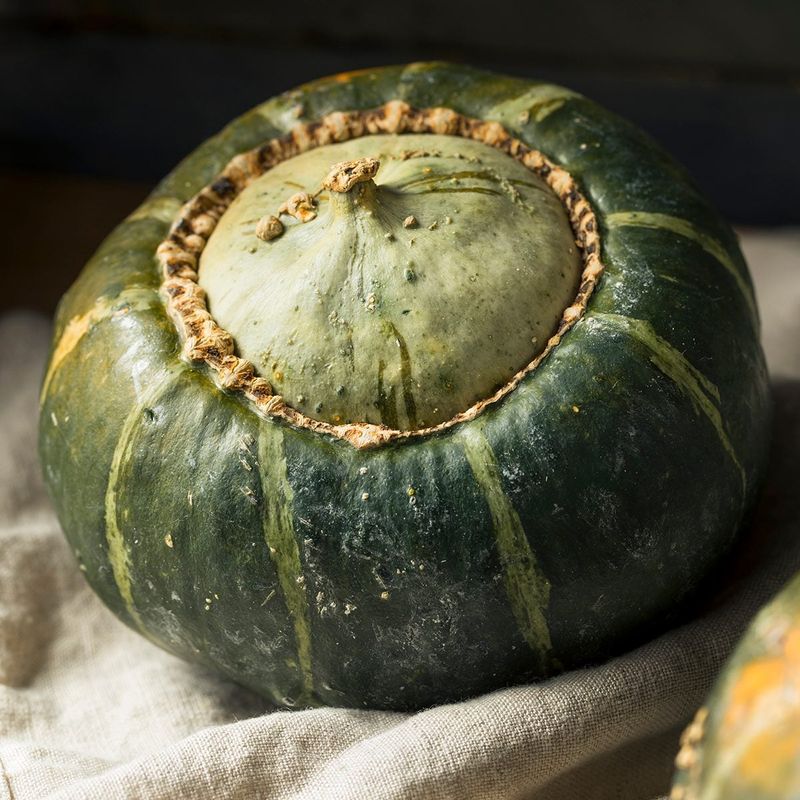 Squash - Buttercup, First Taste
