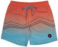 &quot;Rocker Steiner&quot; Hooey Shorts Pink / Teal Volley Board Shorts with Pattern Across the Shorts Pink Waistband