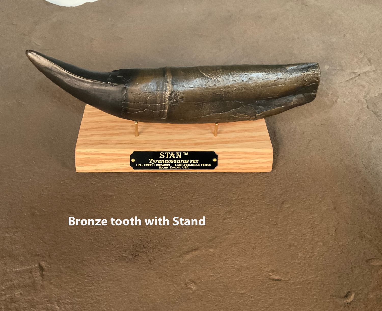 STAN Tyrannosaurus rex ® - Tooth 11.5&quot; Bronze w/Oak base Fossil Replica - Replicas/Models