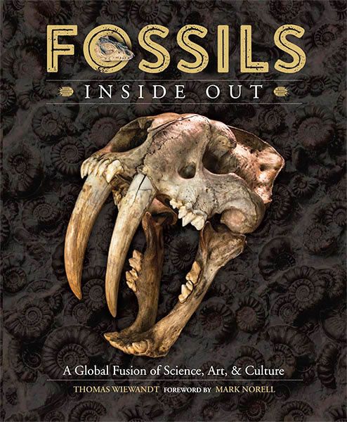 FOSSILS ~ Inside Out - Fossils/Mixed - Book